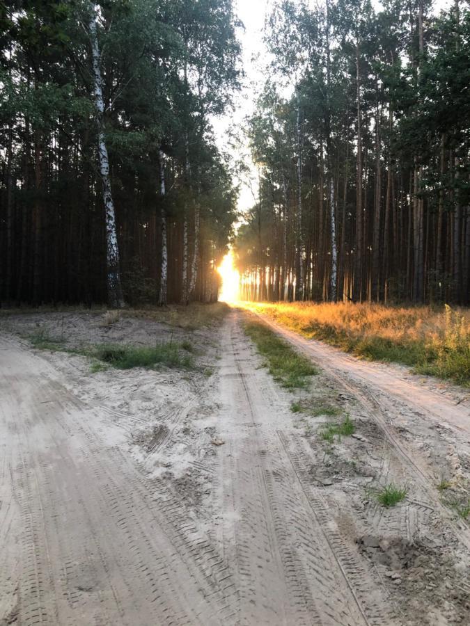 48 Letniskowy Rudno (Wolsztyn)