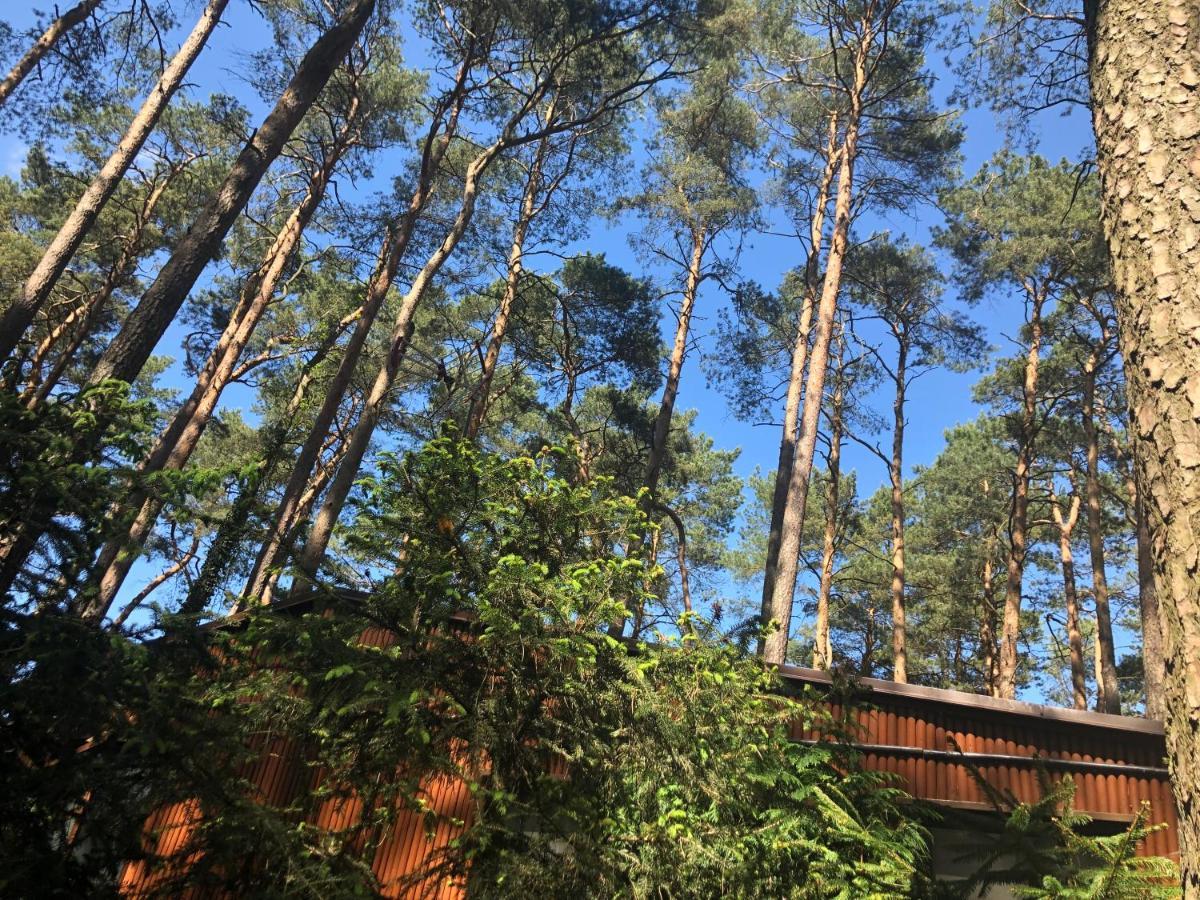 48 Letniskowy Rudno (Wolsztyn)